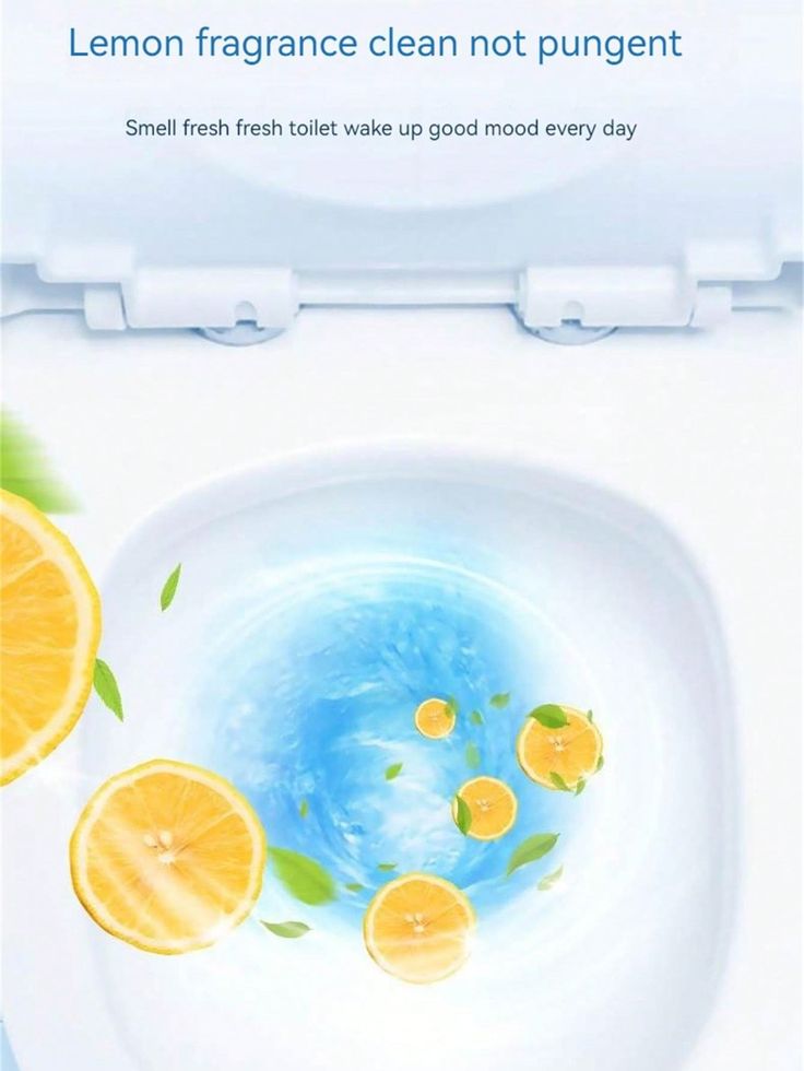 Toilet Cleaning Tablets (Pack of 10)