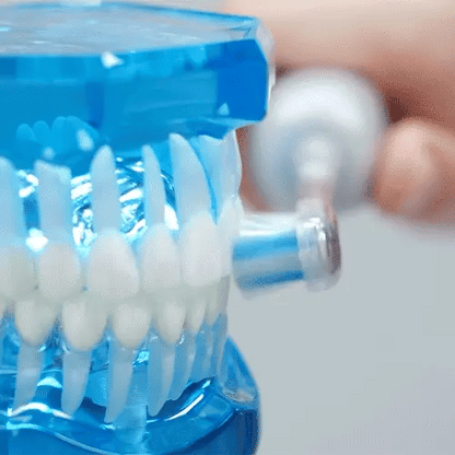OralZen Deep Clean Electric Toothbrush